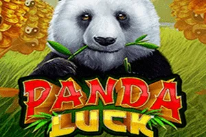Panda Luck - TERRABET168