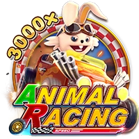 Facai : ANIMAL RACING - TERRABET168