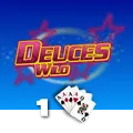 Deuces Wild 1 Hand - TERRABET168