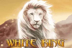 White King - TERRABET168