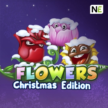 Flowers Christmas Edition - TERRABET168