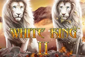 White King II - TERRABET168