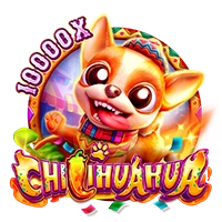 Facai : CHILIHUAHUA - TERRABET168