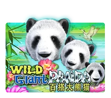 Joker123 : Wild Giant Panda - TERRABET168