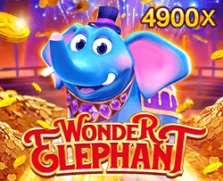Wonder Elephant - TERRABET168