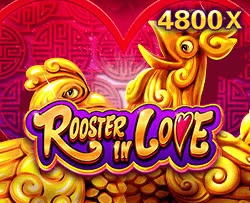 Rooster In Love - TERRABET168