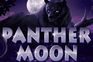 Panther Moon - TERRABET168