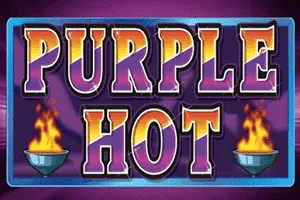 Purple Hot - TERRABET168